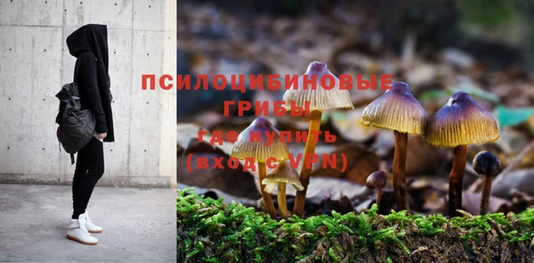 гашишное масло Аркадак