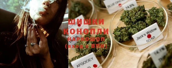 меф Арсеньев