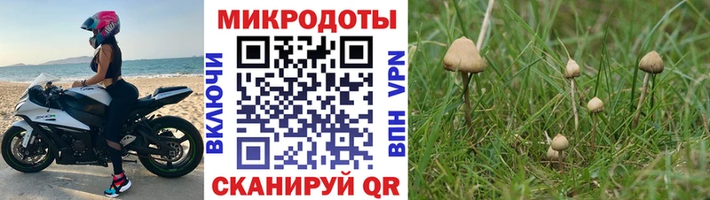 Псилоцибиновые грибы мицелий  ссылка на мегу ССЫЛКА  Терек 